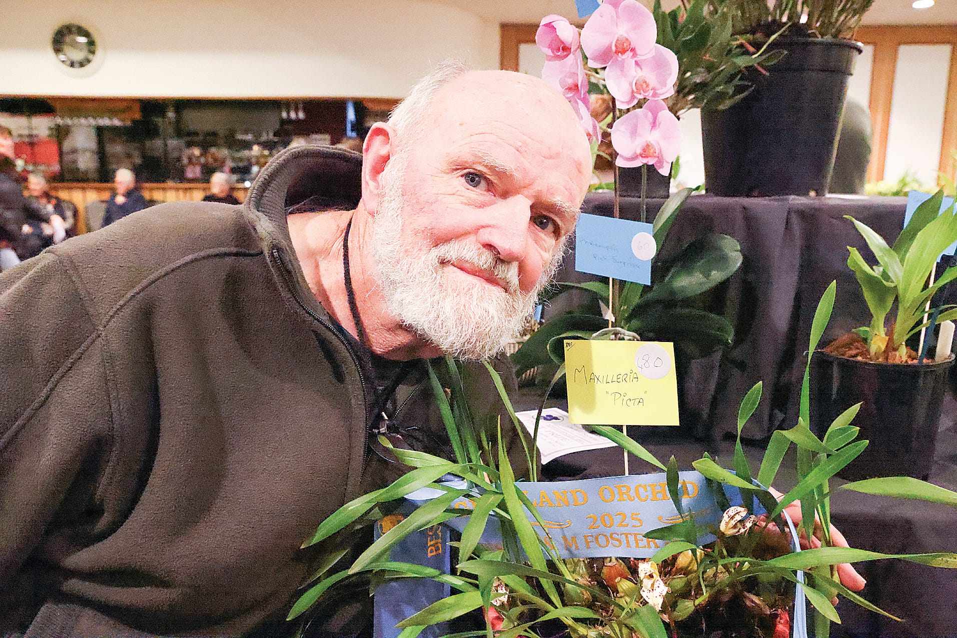 Allen Archbold of Pound Creek First Prize Any Other Genus Species (Maxillaria picta). B24_3725