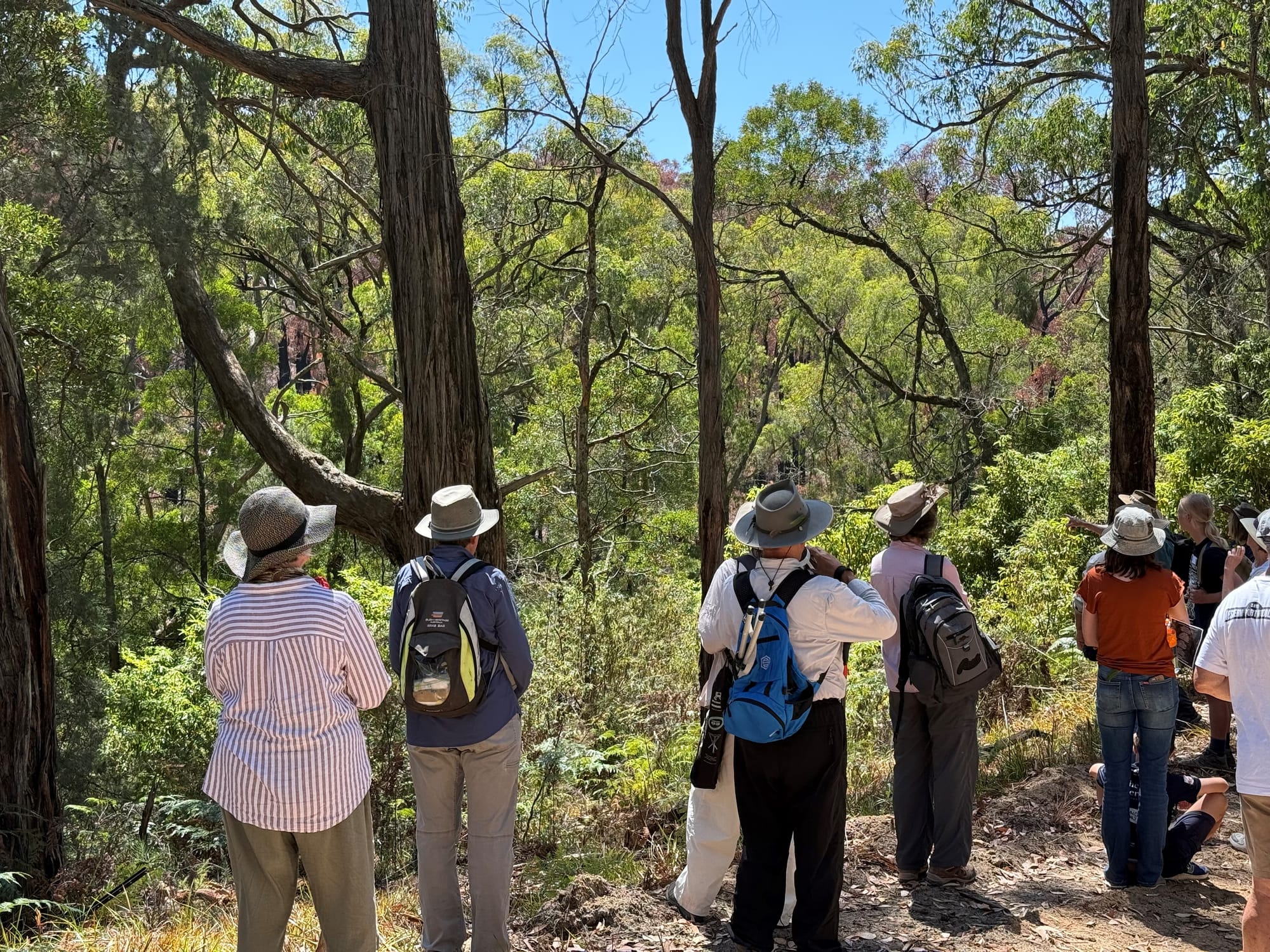 Visitors take a walk through an accessible section of the Western Port Woodlands recently.