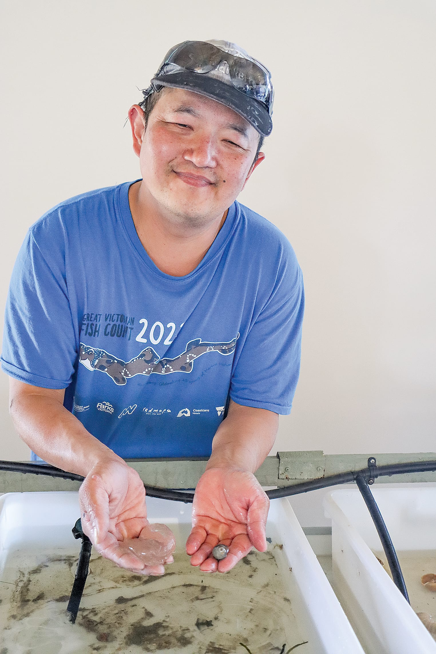 Volunteer Ivan Lee compares the size of a moon snail with its gigantic egg sac. A30_0224