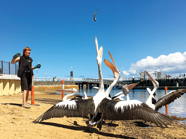 Not 'Freedom Day' but close to it for regional Vic