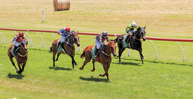 Woolamai turns it on