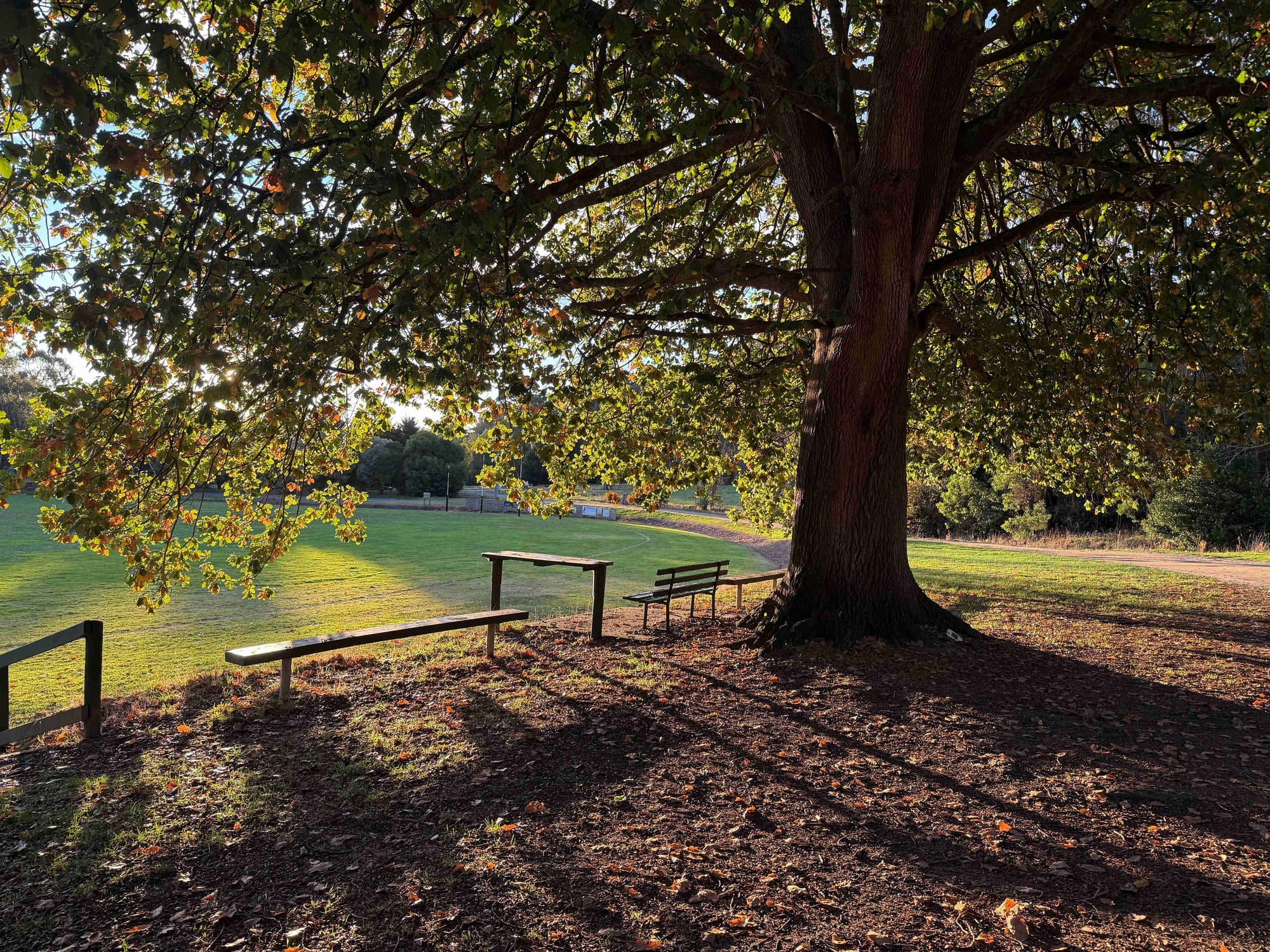 What does it say about Erin Patterson's relationship with Simon and his family?