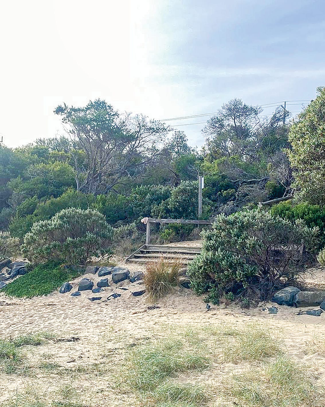 The San Remo Community Association is stepping up pressure on the State Government to take back responsibility for the San Remo foreshore from DEECA.