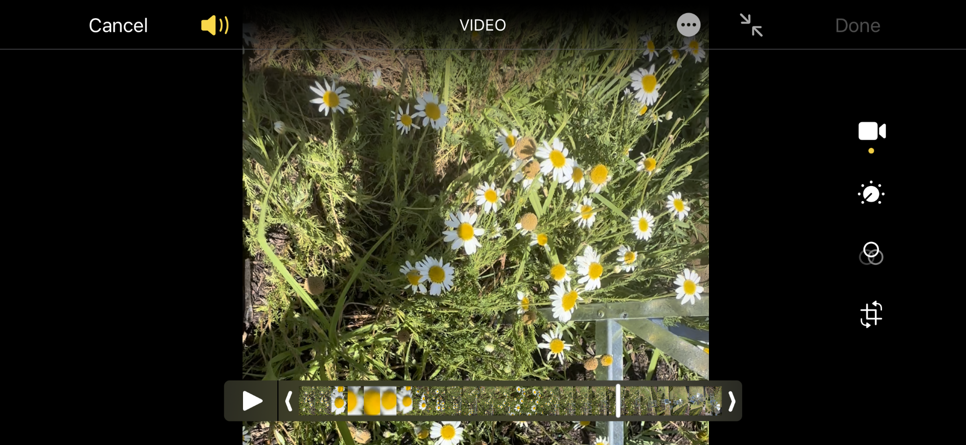 CROPFEST to screen local short films on gardens