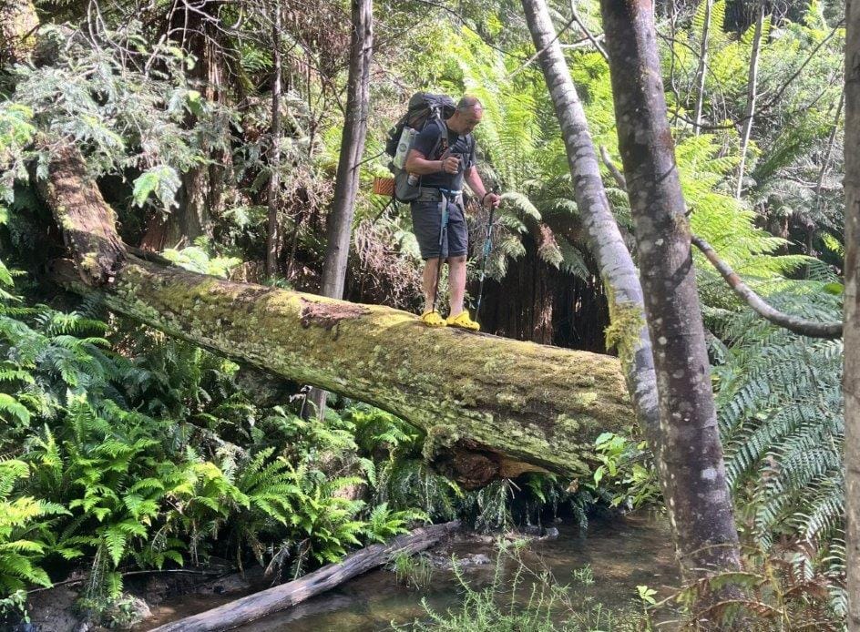 Walking to an epic Christmas adventure