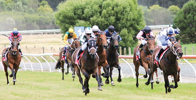 Fun family day out at Stony Creek