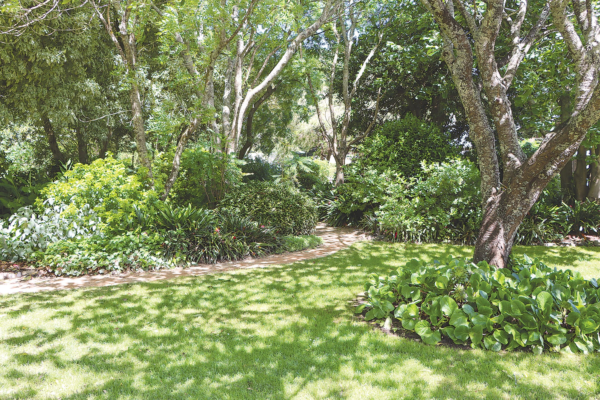 Jumbunna Cottage Garden. A29_4924