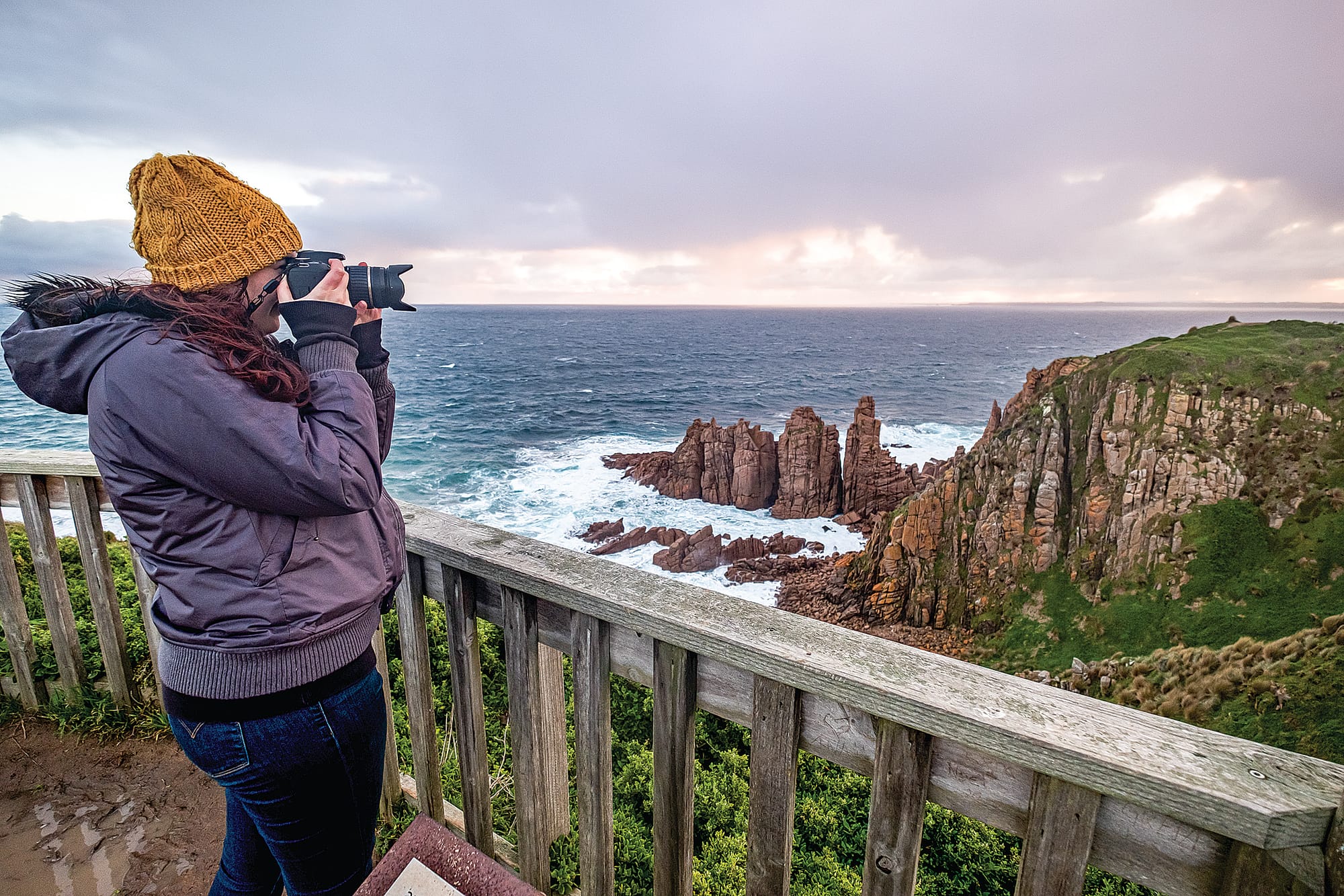 Dive into the Island Whale Festival