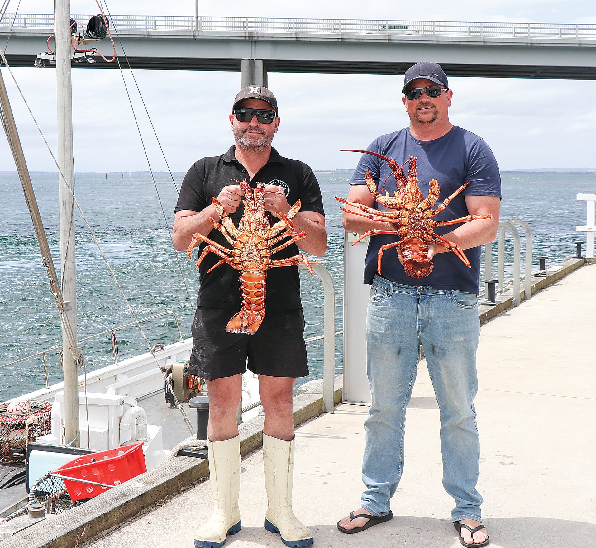 Fishy practices in seafood industry