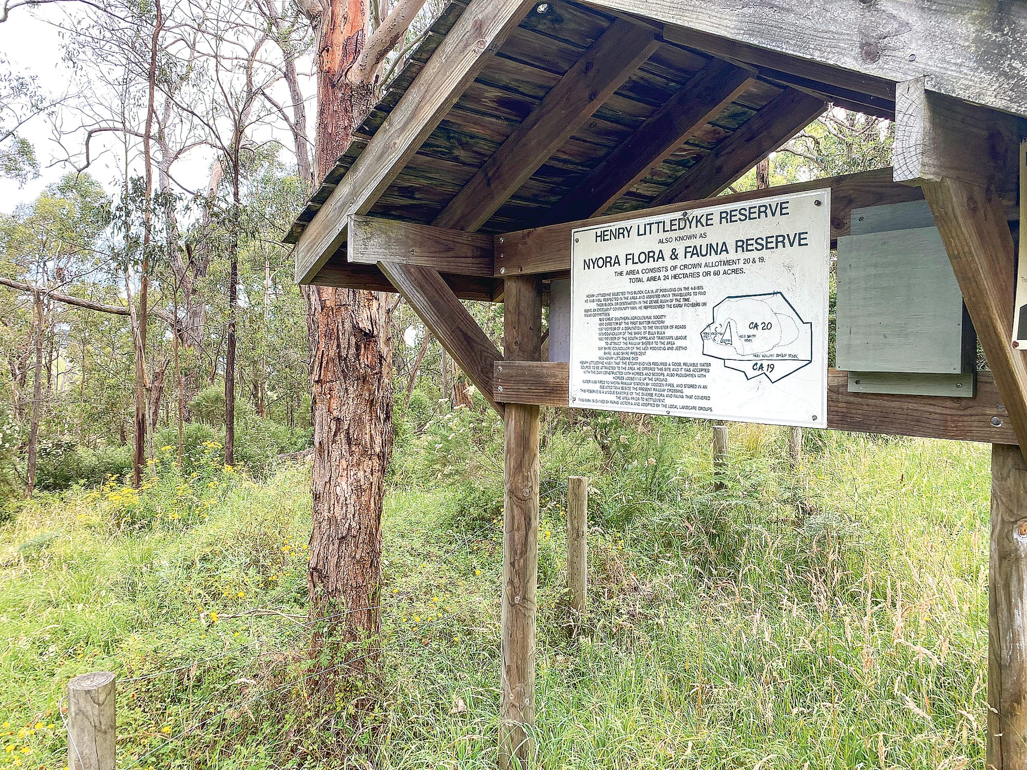 You don’t have to look hard to find ragwort and a selection of other listed weeds in the Henry Littledyke Reserve between Poowong and Nyora.