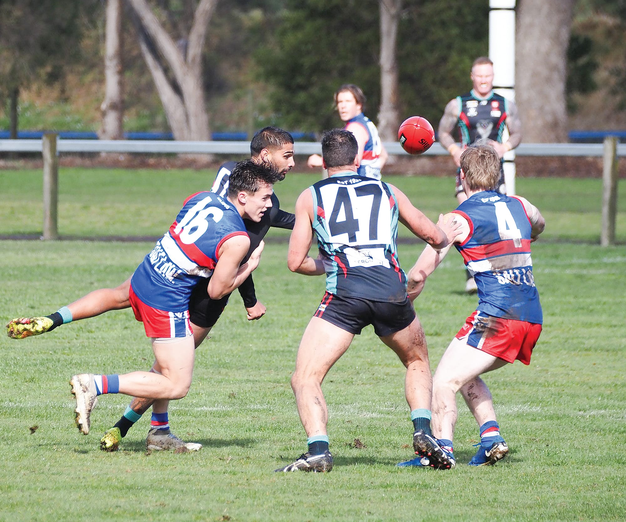 Bulldogs fail the litmus test at the Cobradome