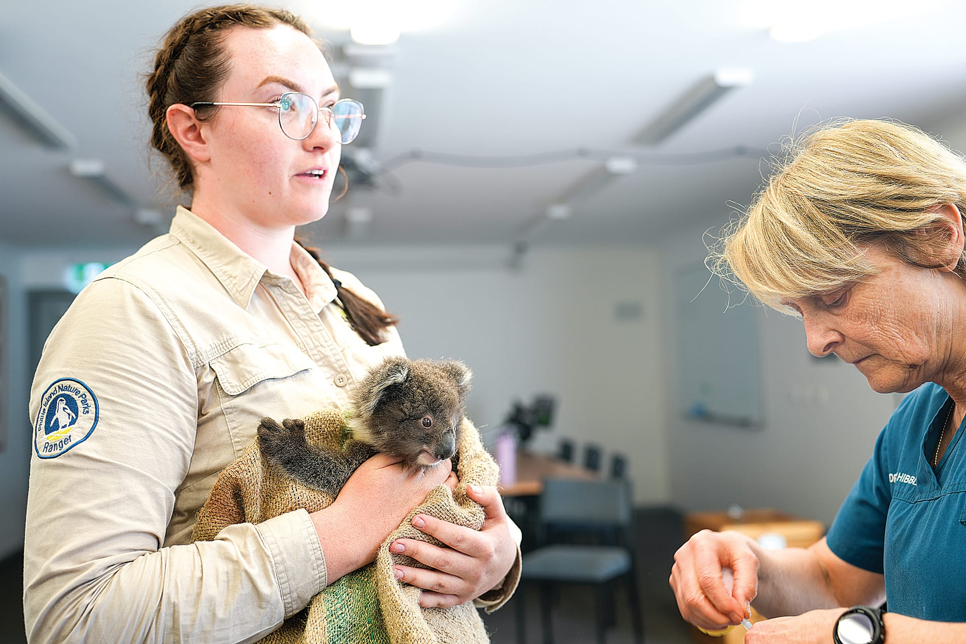 The little joey receives his first health check.