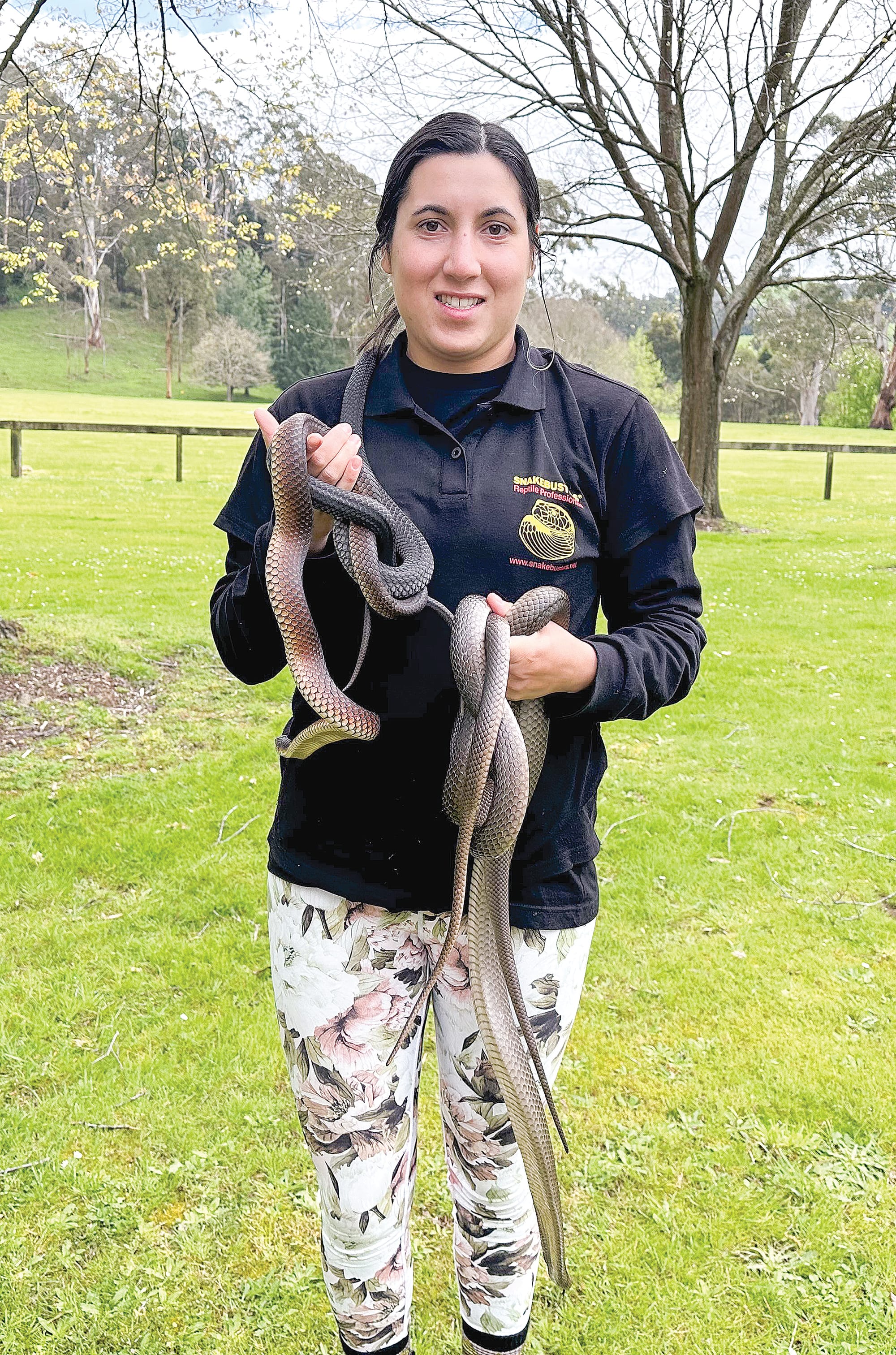 Adelyne Hoser holds two Lowland copperheads and two Eastern Brown snakes, all are devenomised so no harm comes to the dogs in training or humans handling the snakes. 