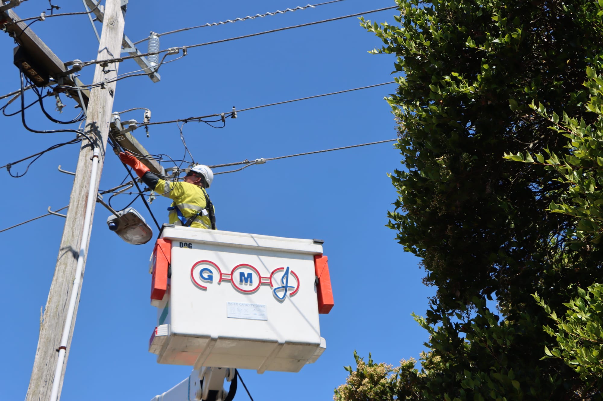 An AusNet worker inspects for damage.