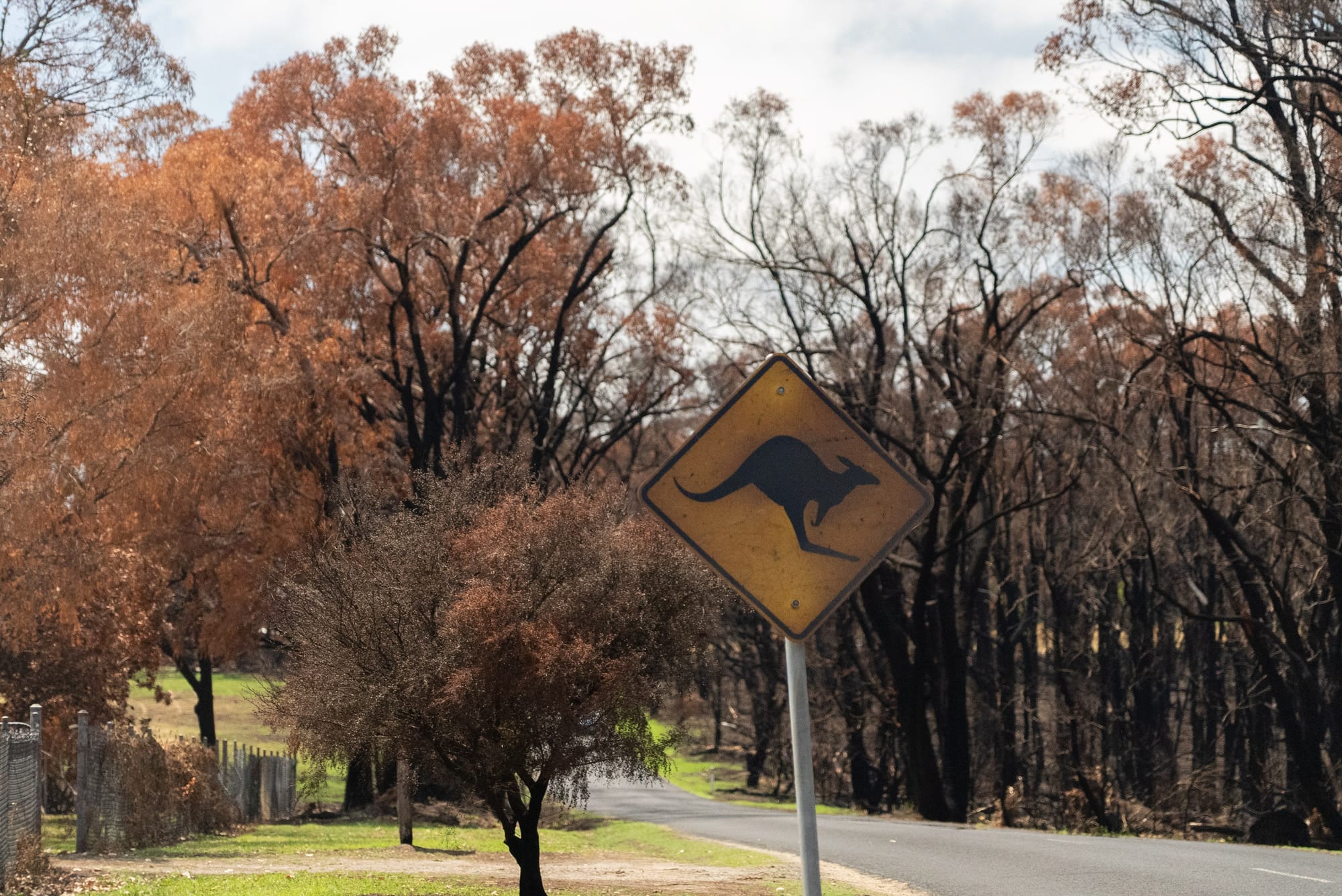 A haunting reminder of the fire's devastation.