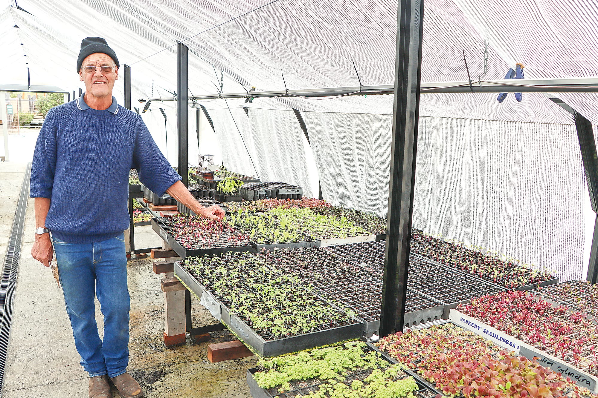 Volunteer Graeme McAlpine has been instrumental in setting up the modern hothouse at The Cape Community Farm, which is ideal for nurturing seedlings.