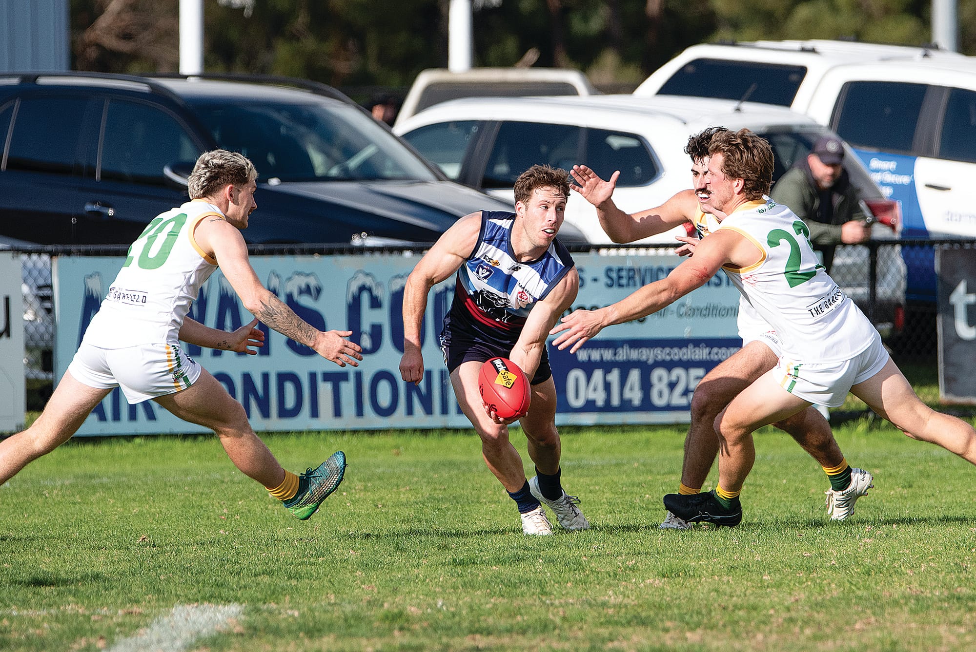 Panthers pounce on another win