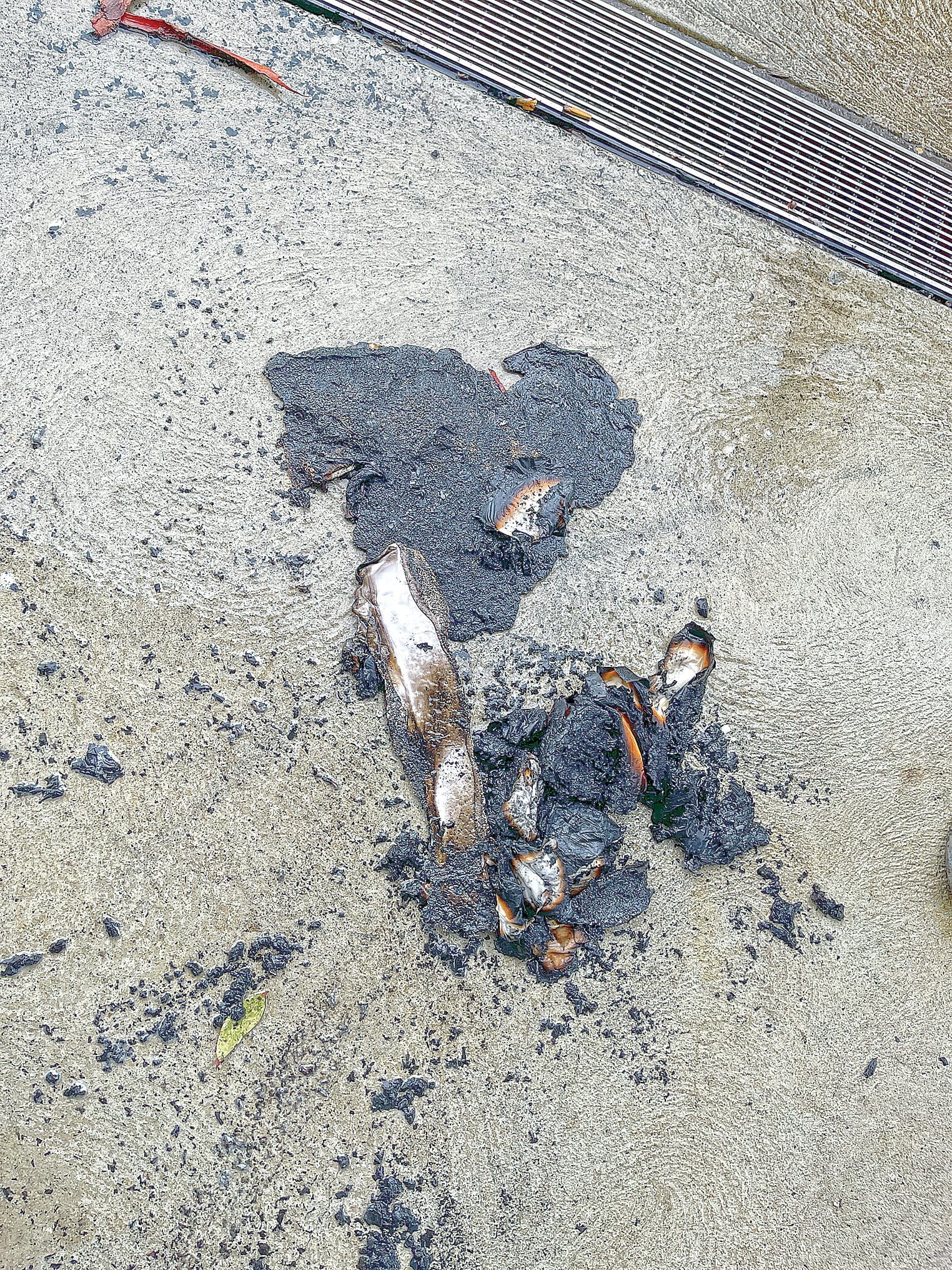 Remains of a toilet roll dispenser that was deliberately set alight in the toilet block at the Harold Hughes Reserve in the centre of Corinella. Photo: Meryl Tobin.