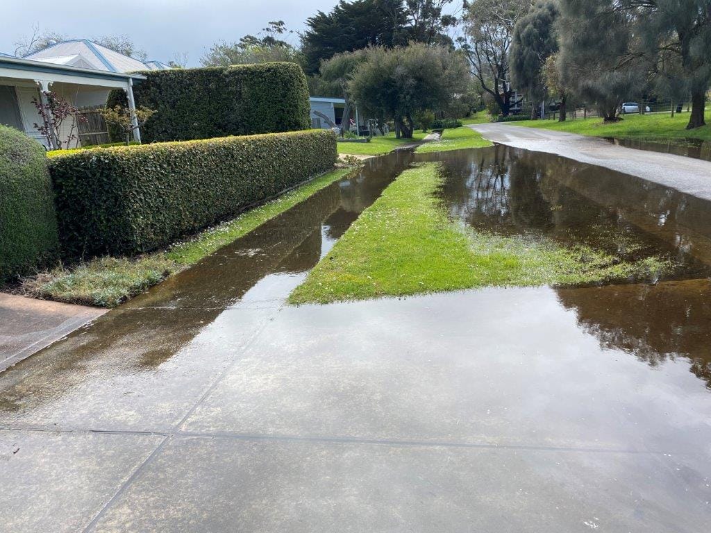 Poor drainage in this Cowes' street and other wet, low-lying areas have been the perfect breeding ground for mosquitoes.