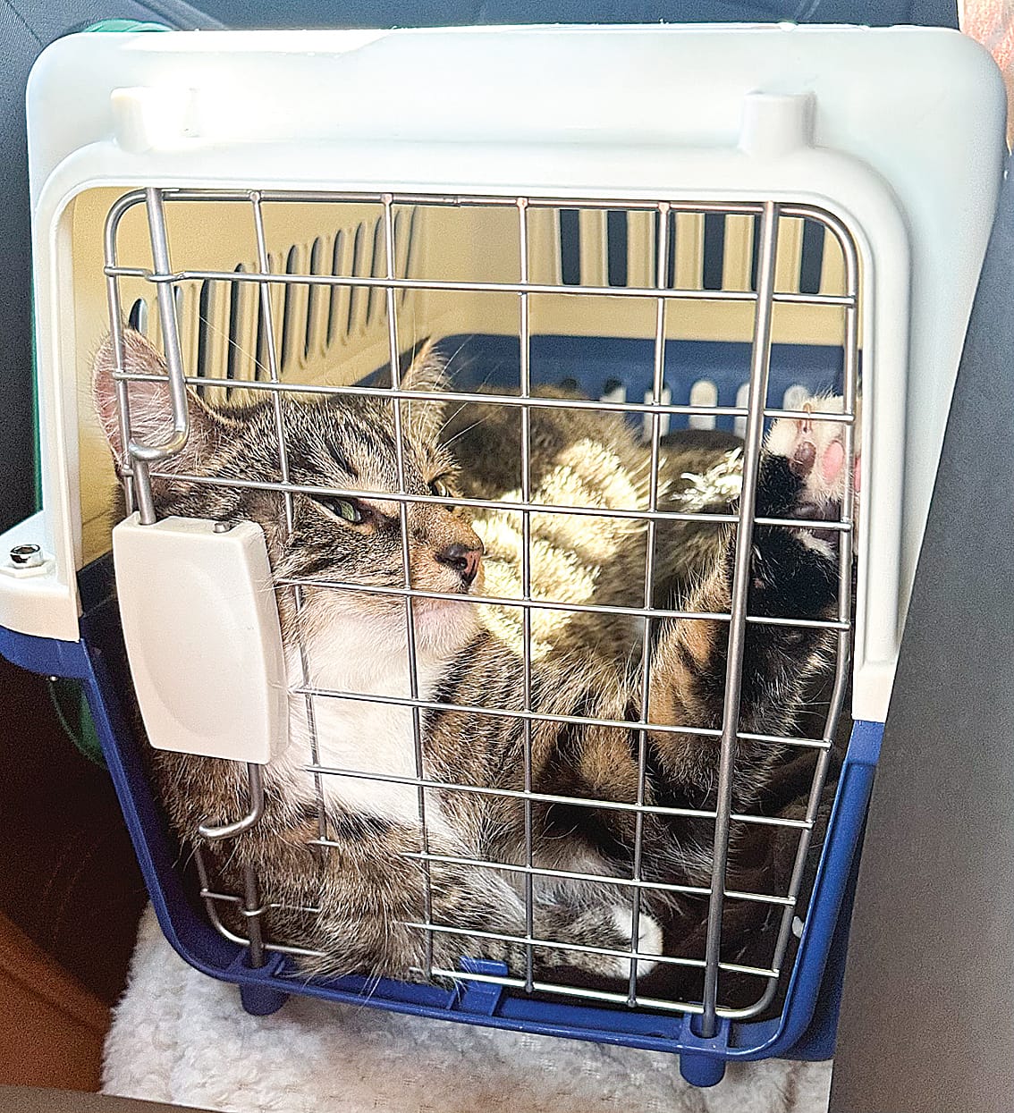 Funding helps Animal Aid continue caring for furry friends