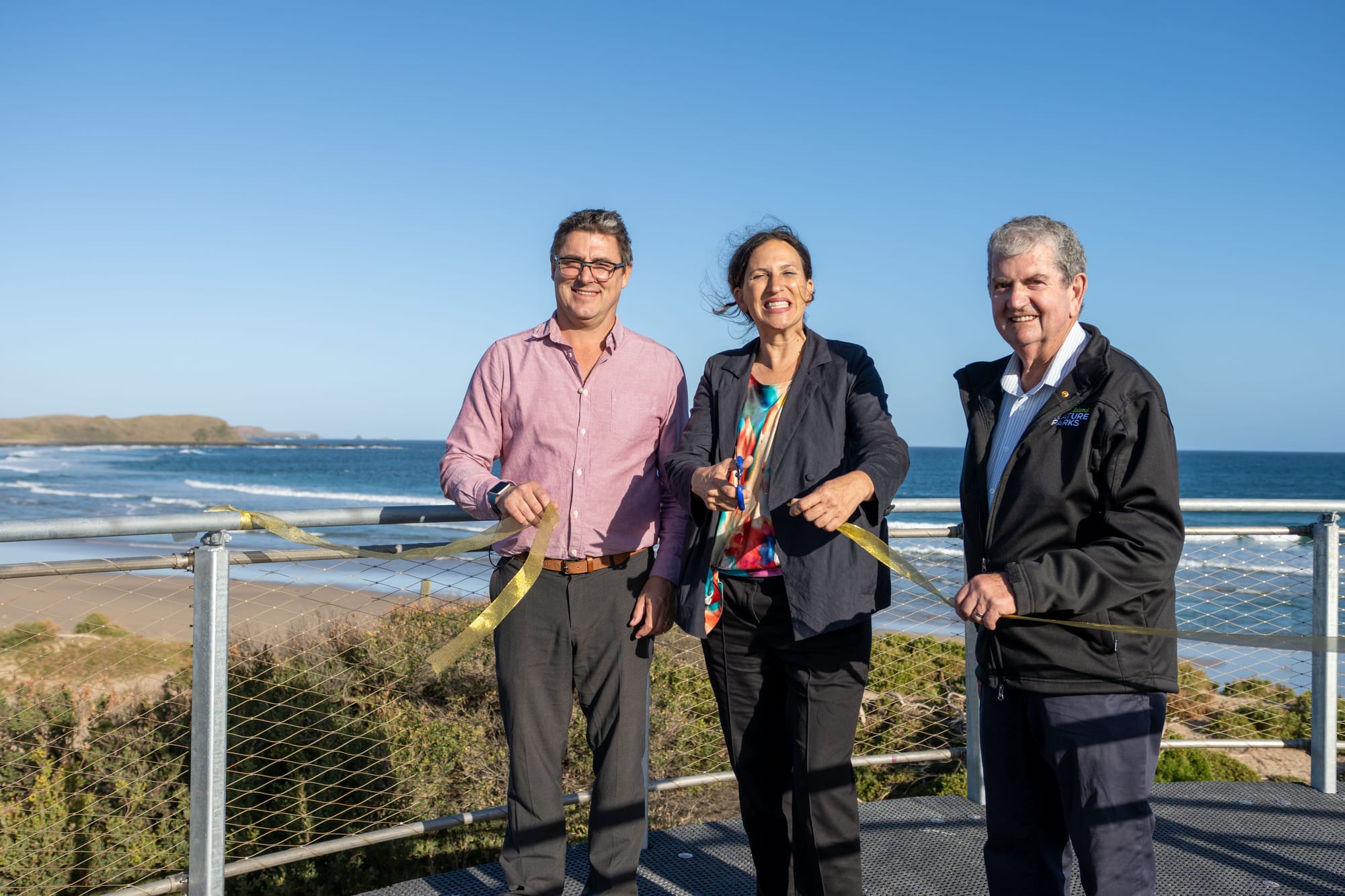 Record numbers flock to see little penguins waddling home