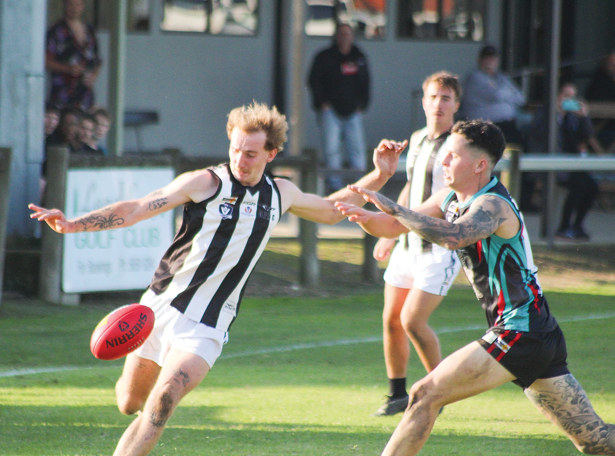 Magpies withstand the Cobra’s strike