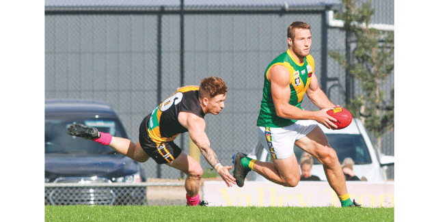 Injury concerns as Parrots turn from Tigers to Eagles