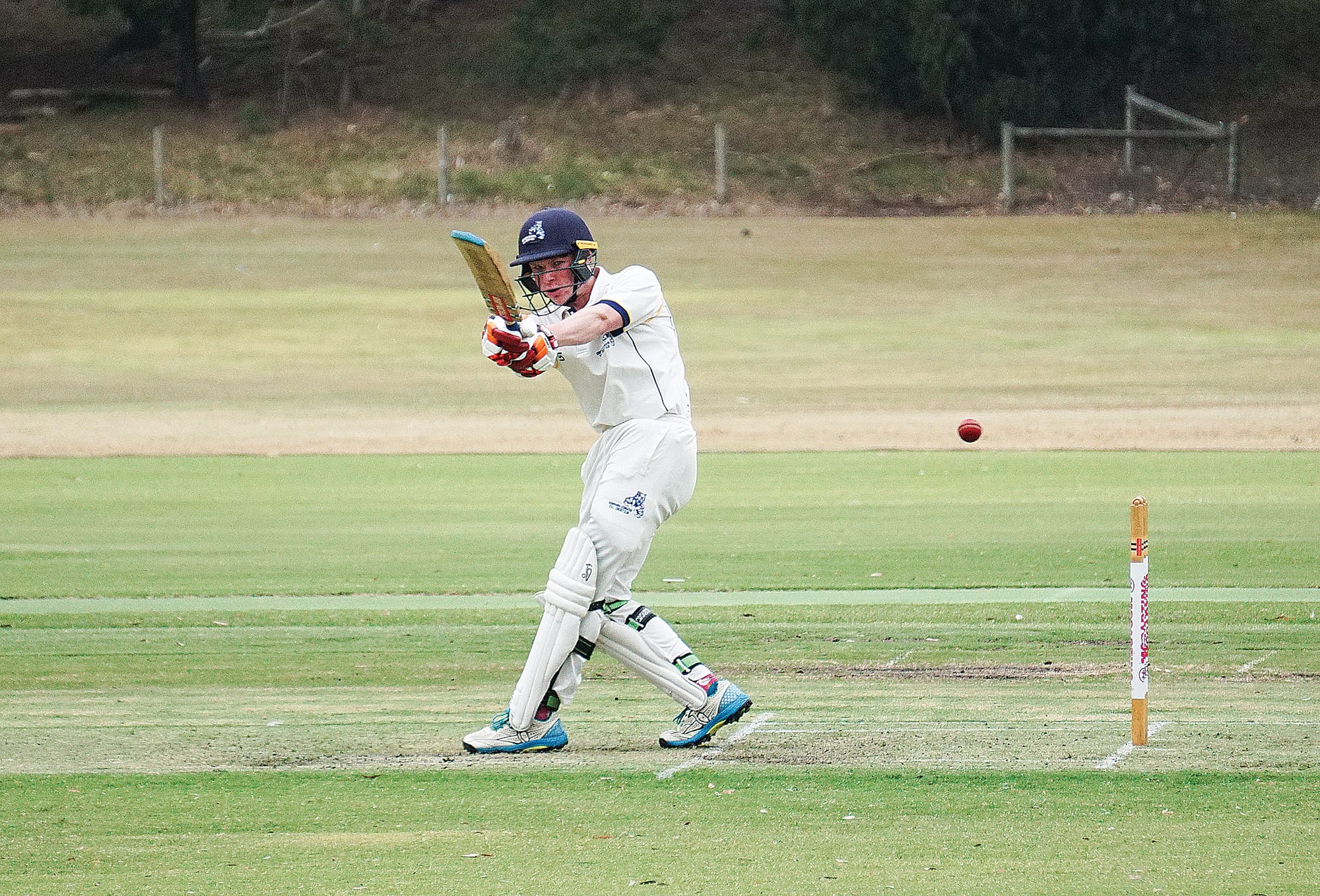 Will Cashin hits a solid shot.