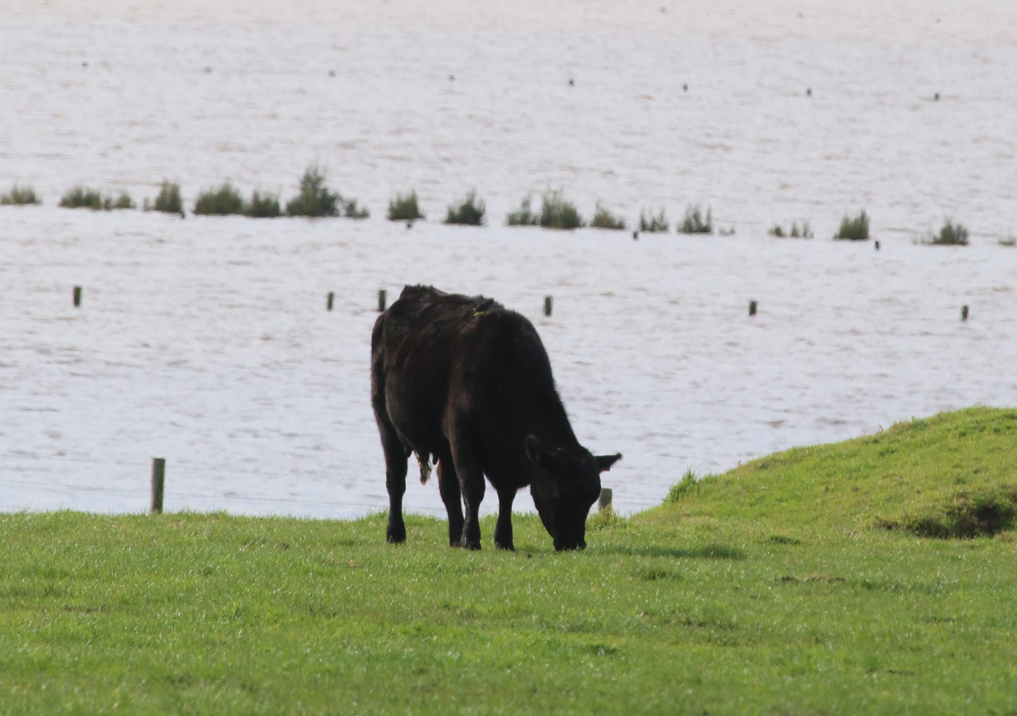 There is also a BOM weather warning for farmers.