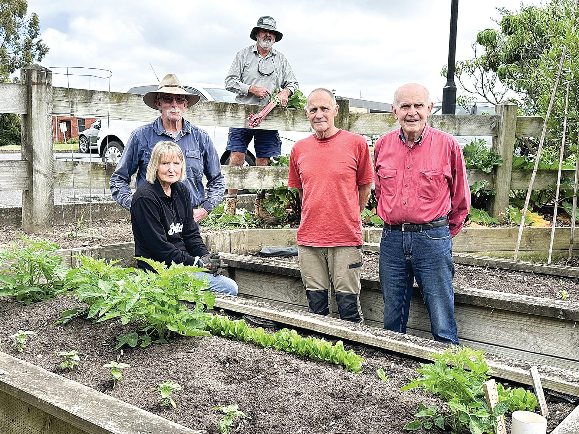 Disappointing theft from a charity garden
