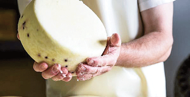 How the shire plans to build on 11,000 jobs