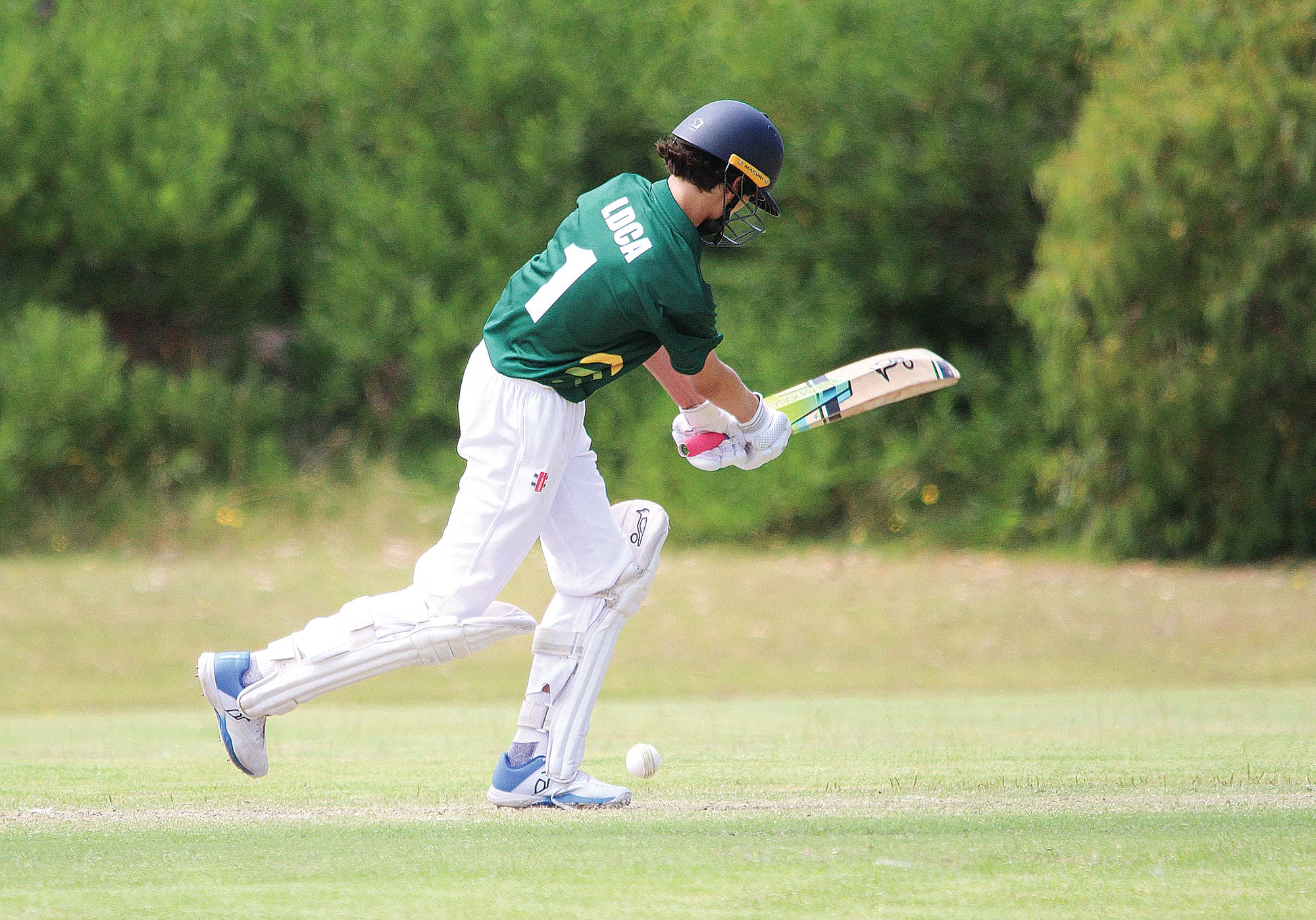 Leongatha & District juniors shine again