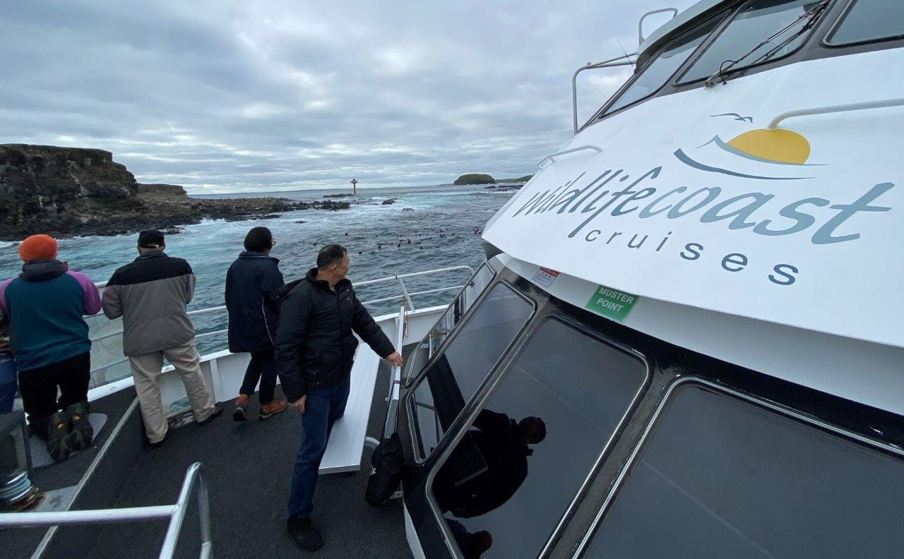 Wildlife Coast Cruises is the 2022 Bass Coast Business of the Year