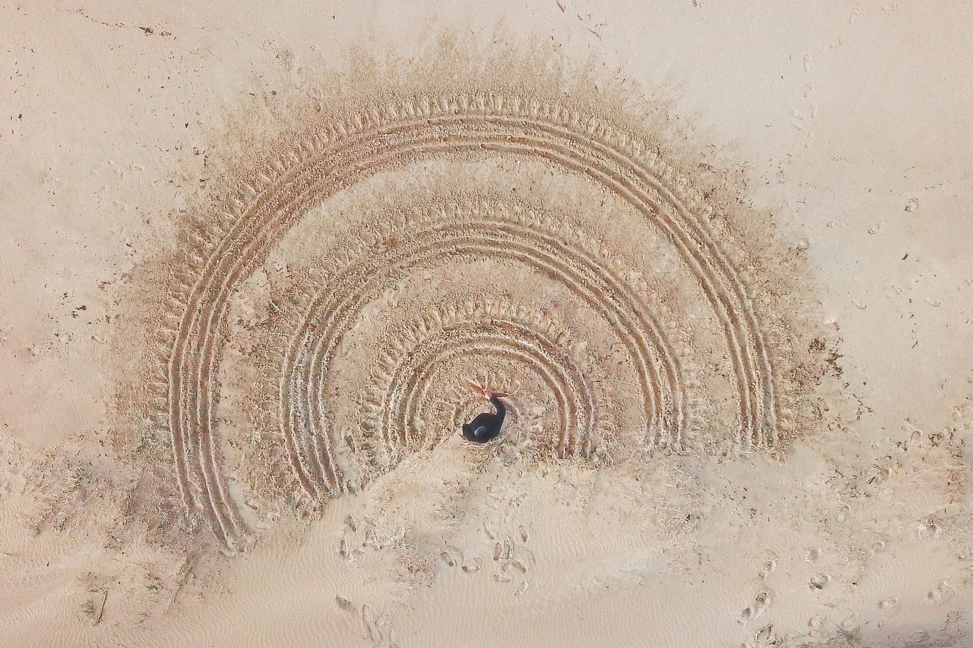 Featuring Nyul Nyul Saltwater man Lowell Hunter (aka ‘Salty One’). 