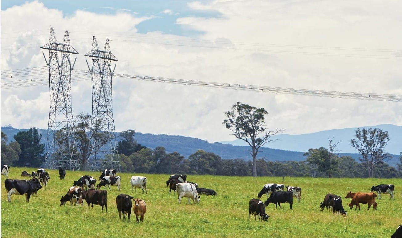 VicGrid leaves South Gippsland high-voltage towers on the table