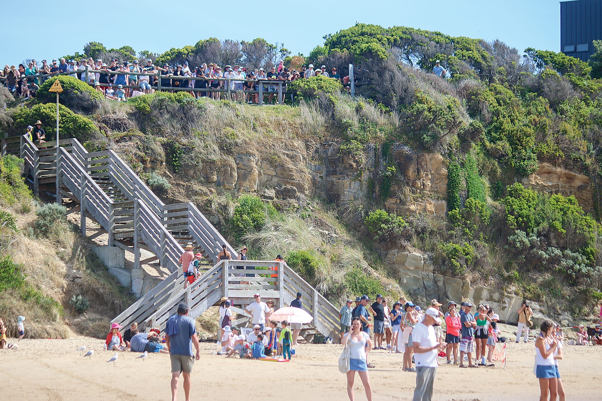 The aquathon is growing larger each year, attracting large crowds of supporters. ob39_0325