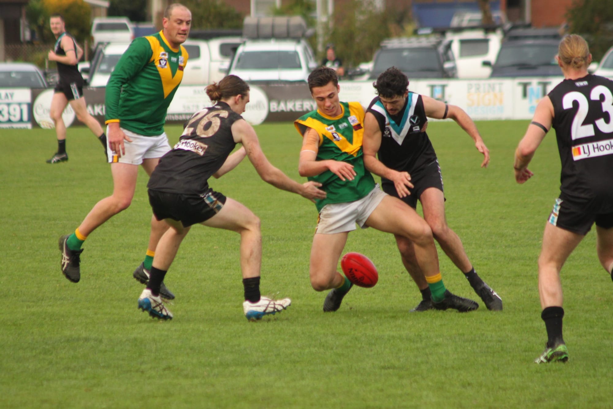 Parrots, Power pushing for top spot