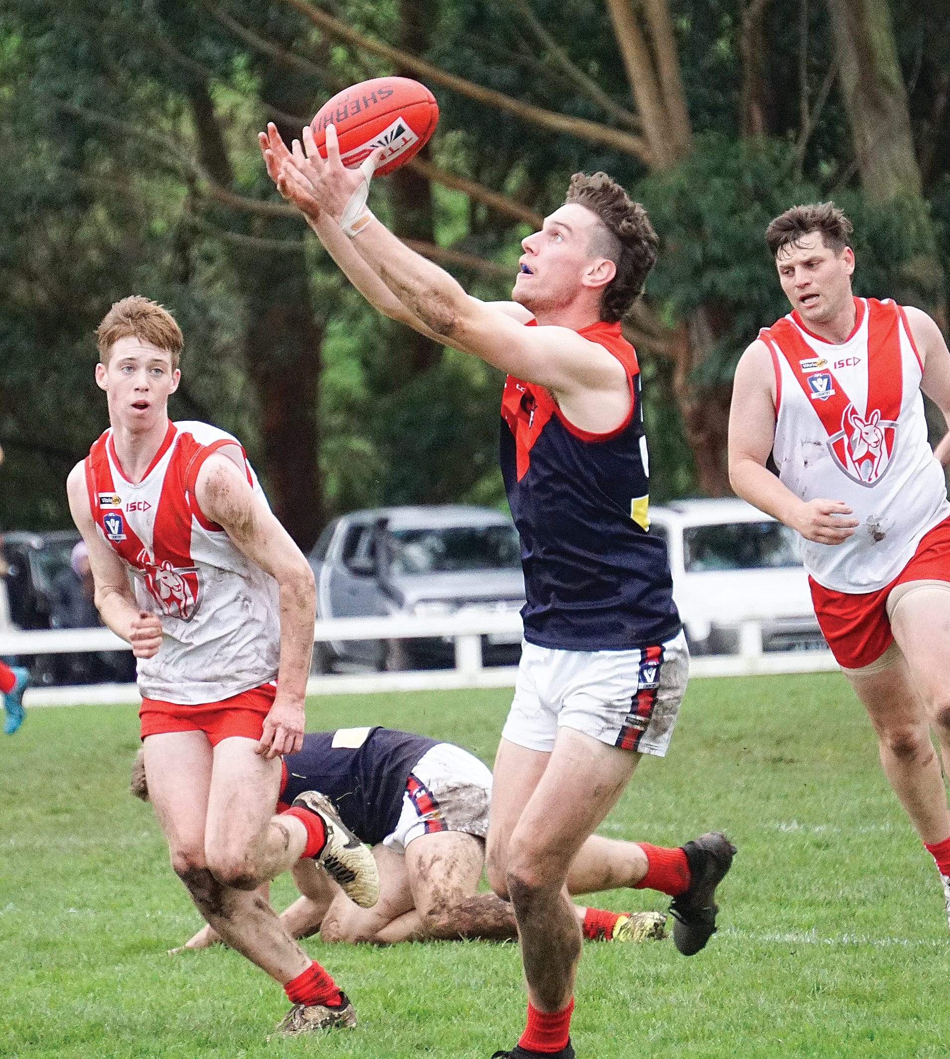 The ball falls right into Joel Leeden hands. Ns13_2424