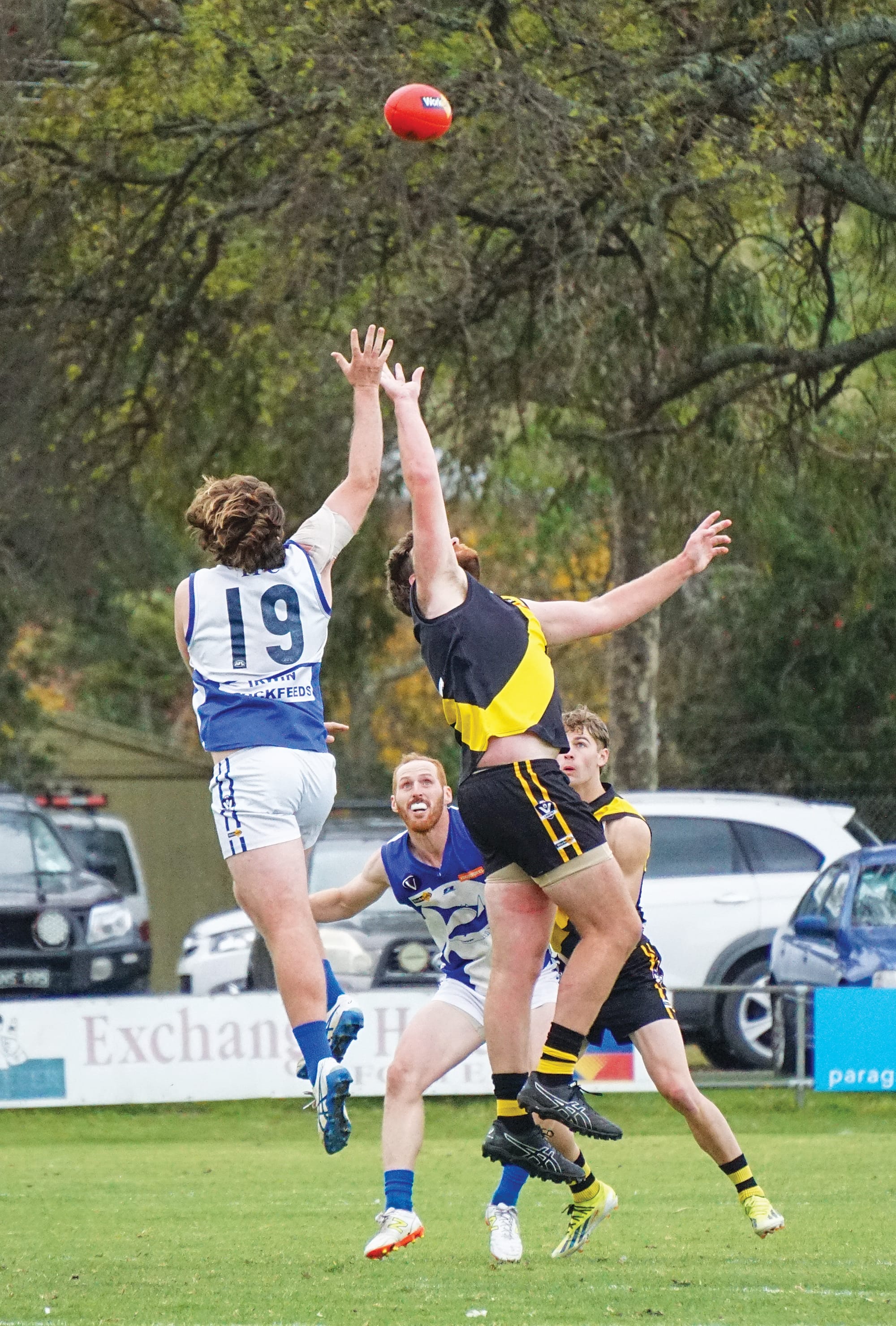Tarwin’s Harrison Cumming contests the ruck. Ns34_2025