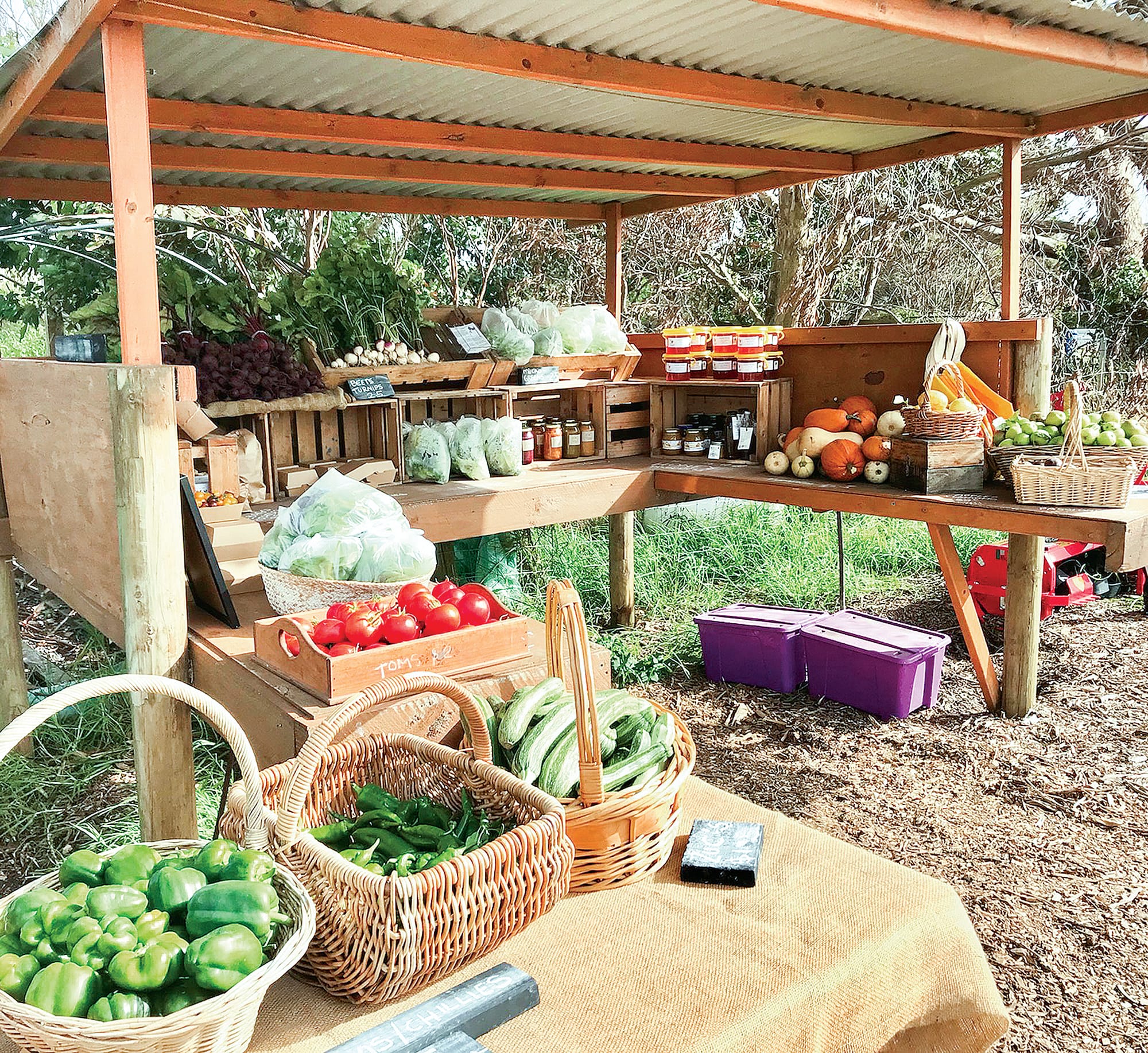 The farm gate is open on a Saturday from 10am to 2pm. C28_5022