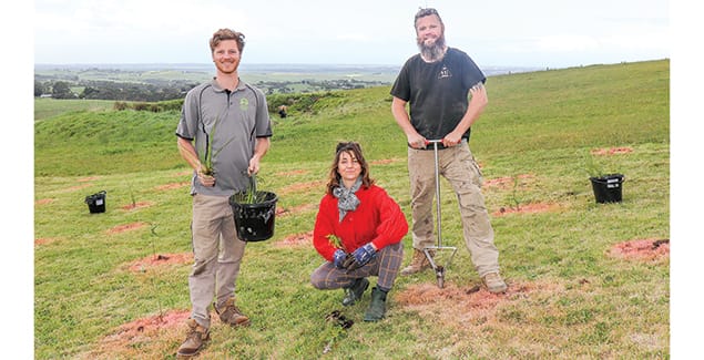 2000 plants in the ground at Ryanston