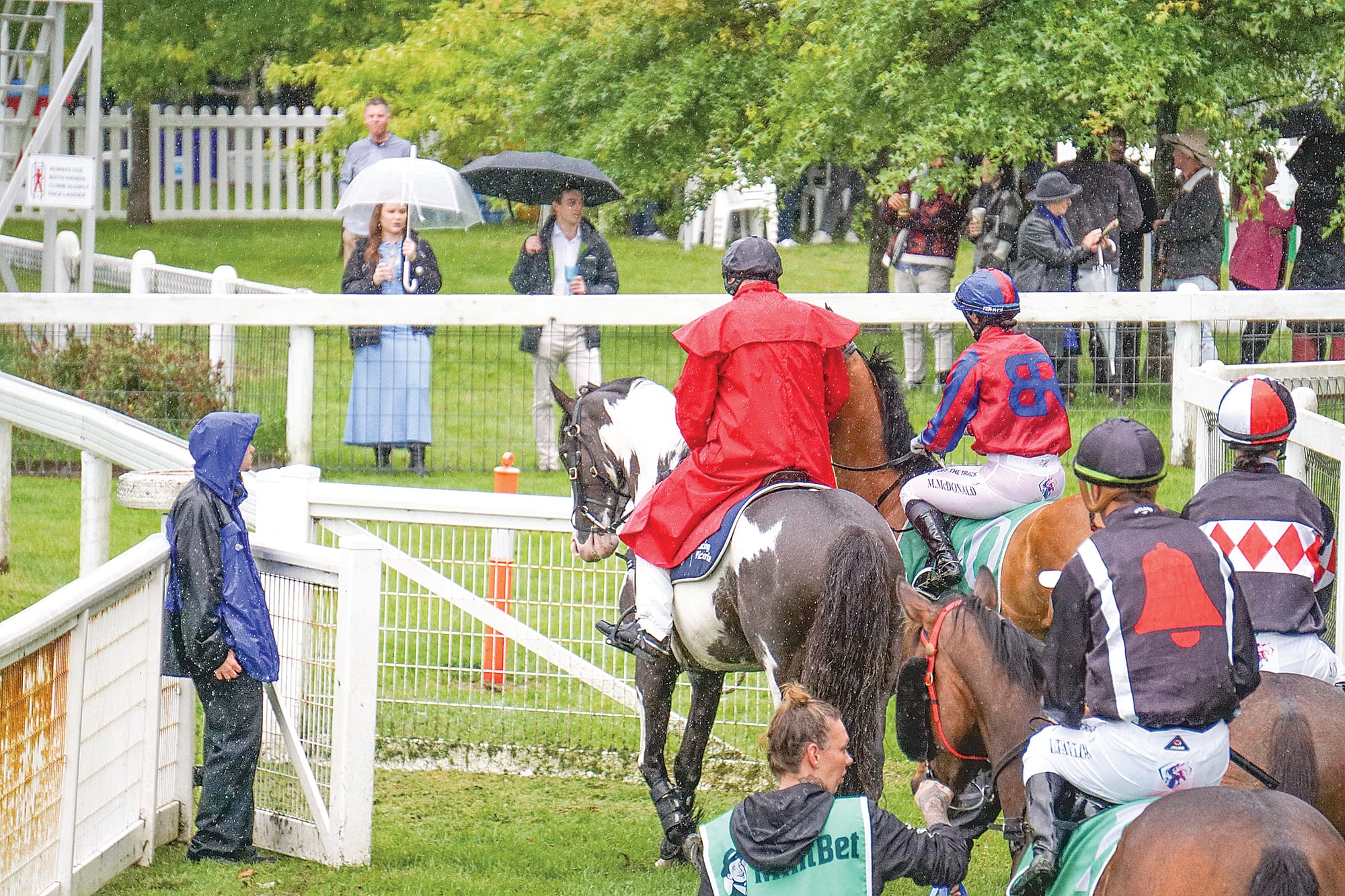 The race is set to begin as the horses and jockeys take to the track. Ns13_4923