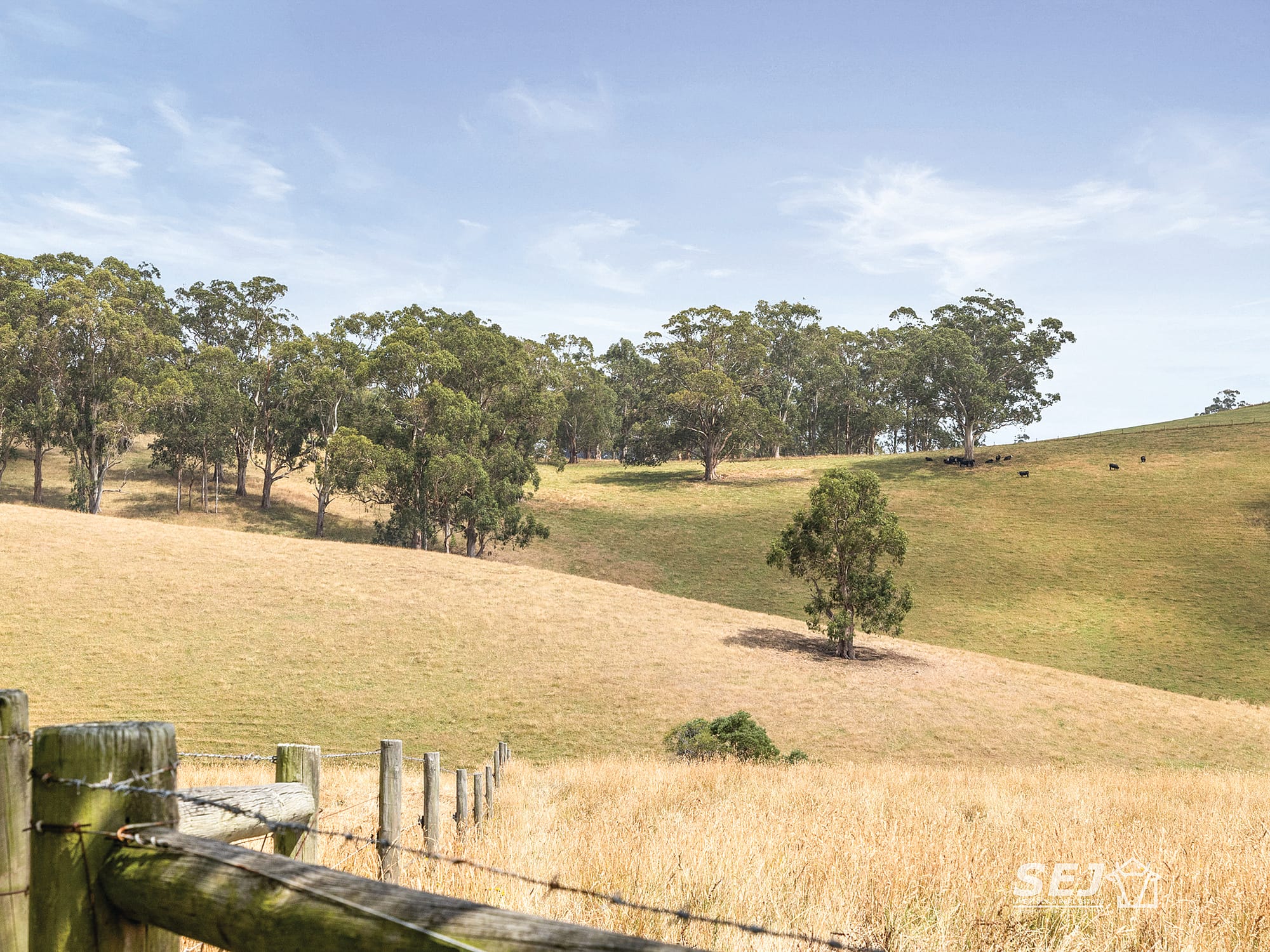 Prime breeding and fattening property with unmatched potential