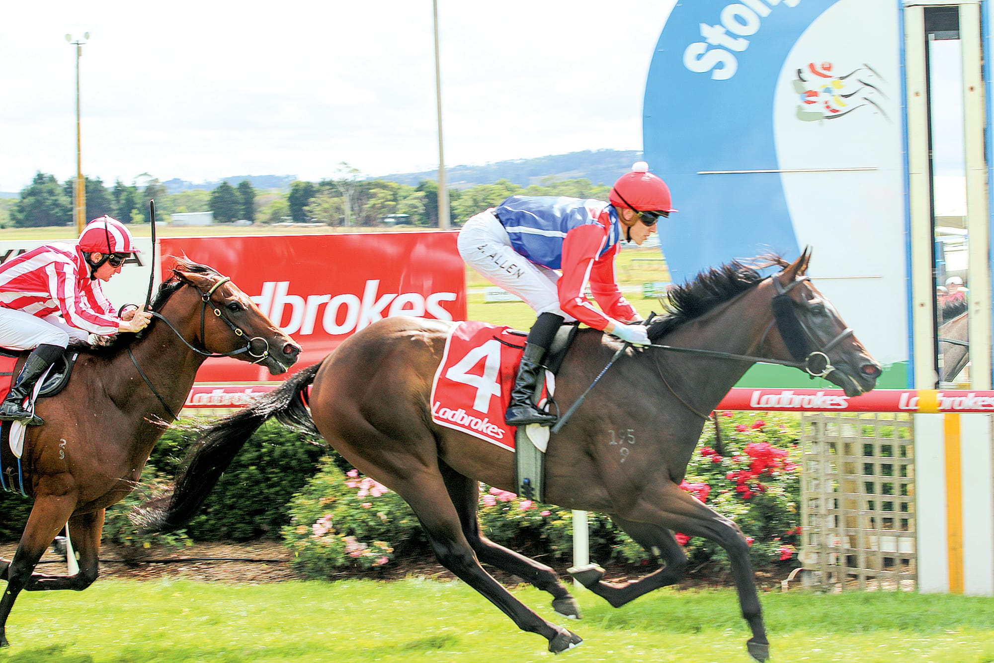 C49_1123 - Dr Michael Bourke OAM Memorial BM64 Handicap winner King’s Chamber