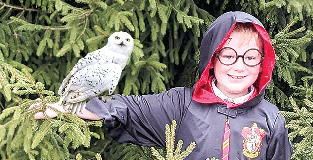 ‘Booked’ out at Korumburra