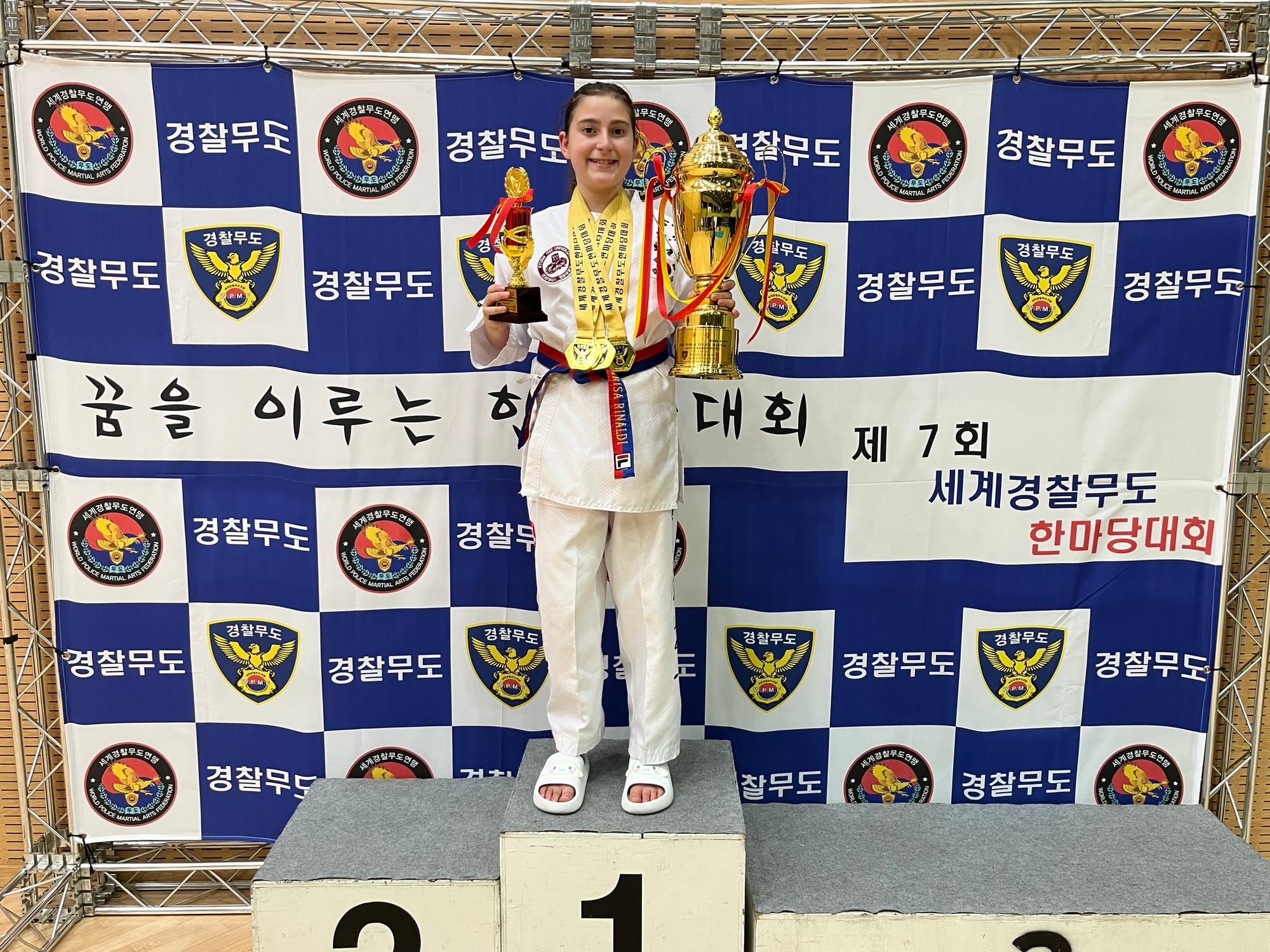Taekwondo champion brings home four golds