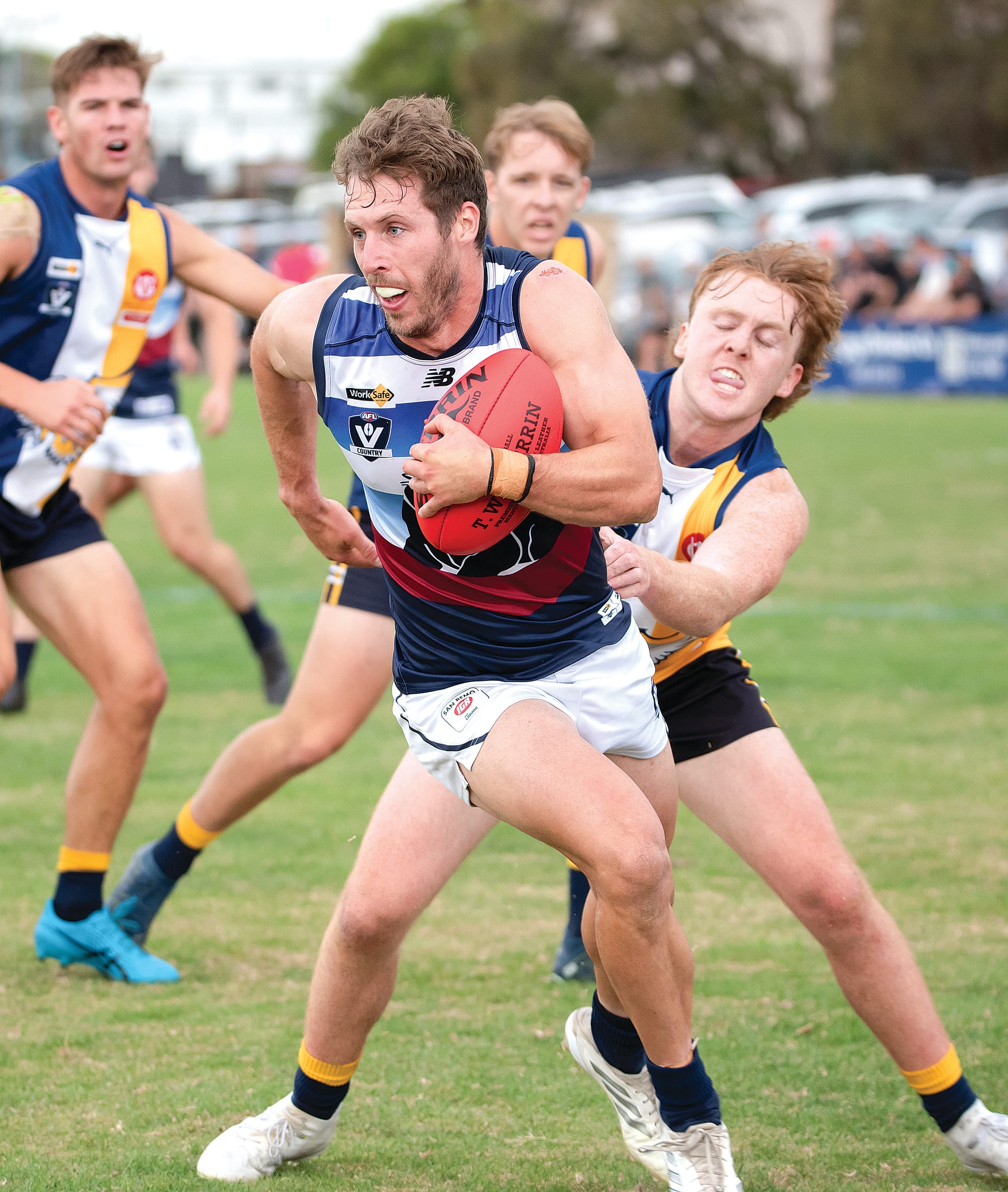 Panthers break 10-year drought