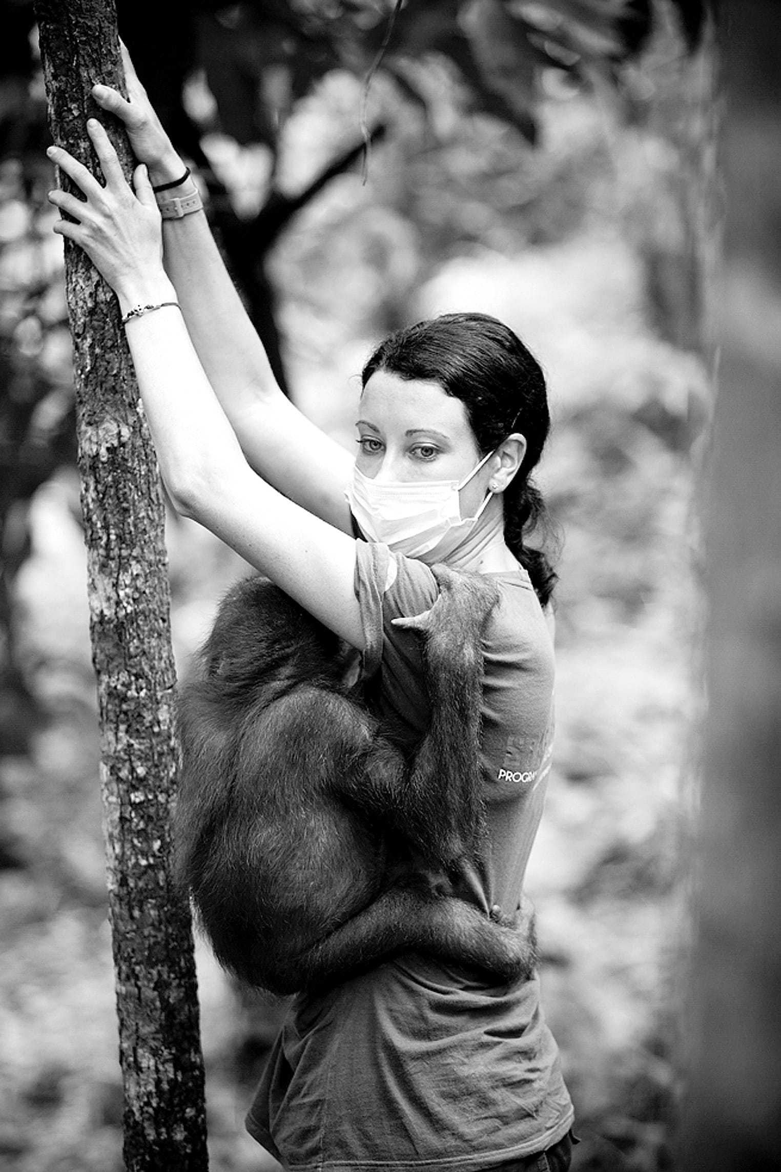 Jessica spent over 6 years living abroad with her conservation speciality primates and great apes.