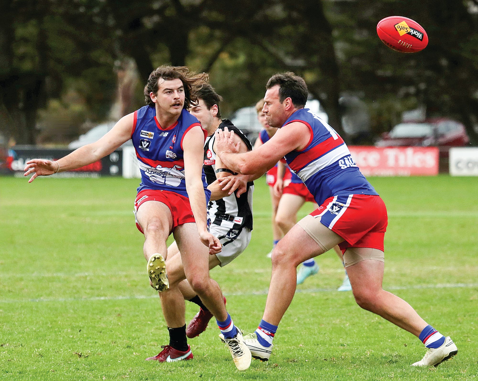 Youthful Bulldogs too nimble for the Pies