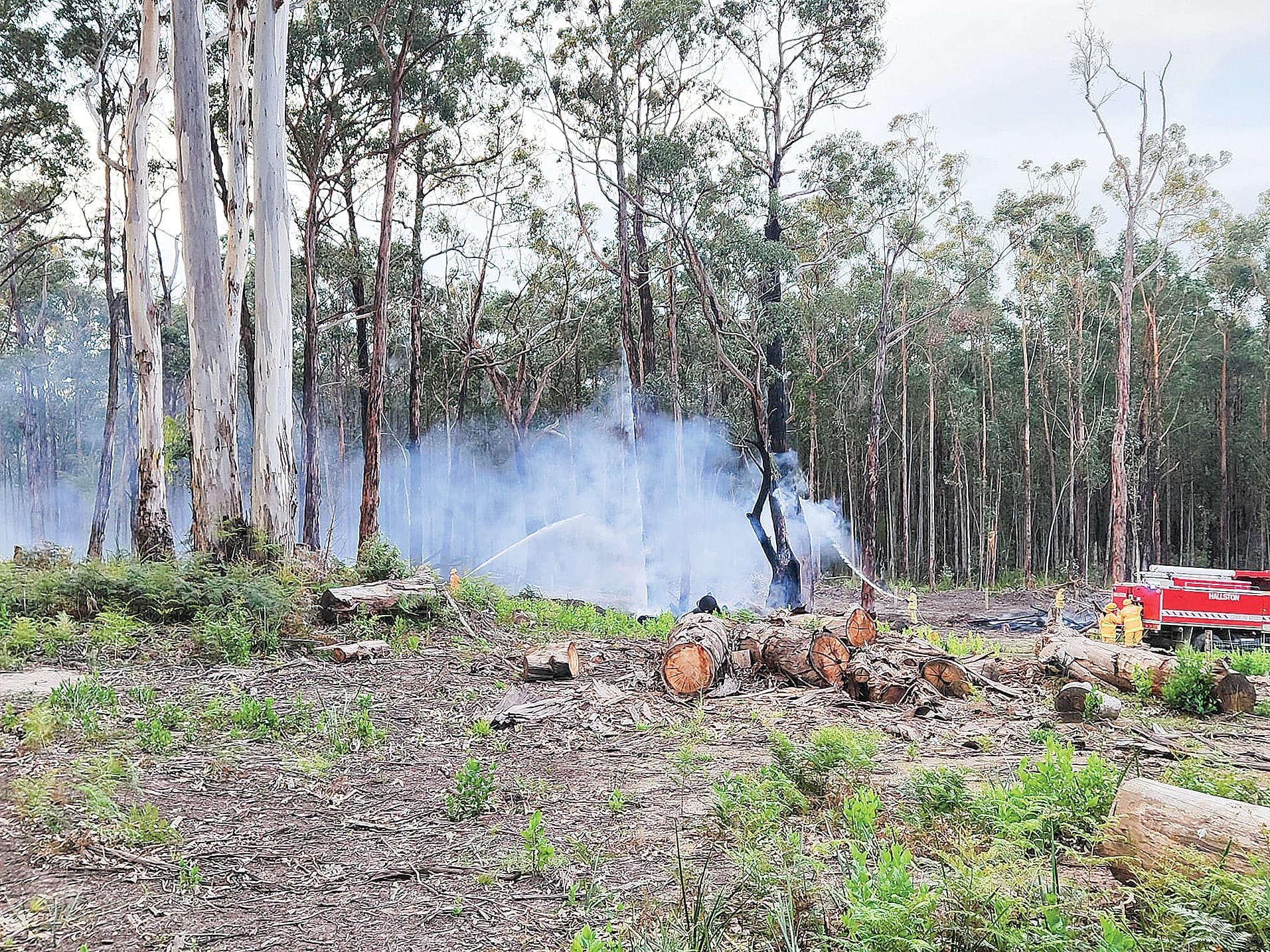 Work to reduce bushfire risk to be undertaken in Mirboo North